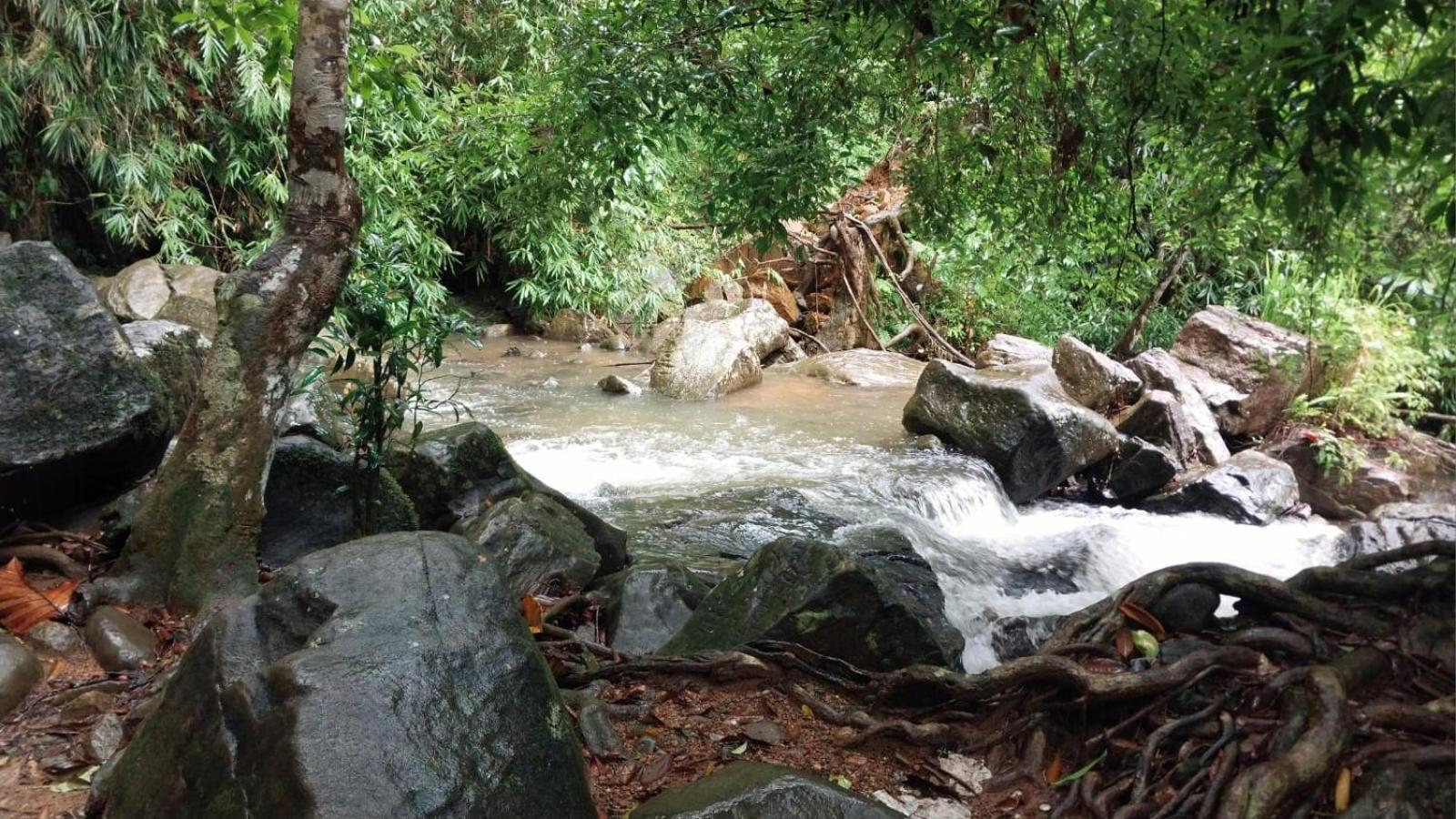 Salmanel Resort راتنابورا المظهر الخارجي الصورة