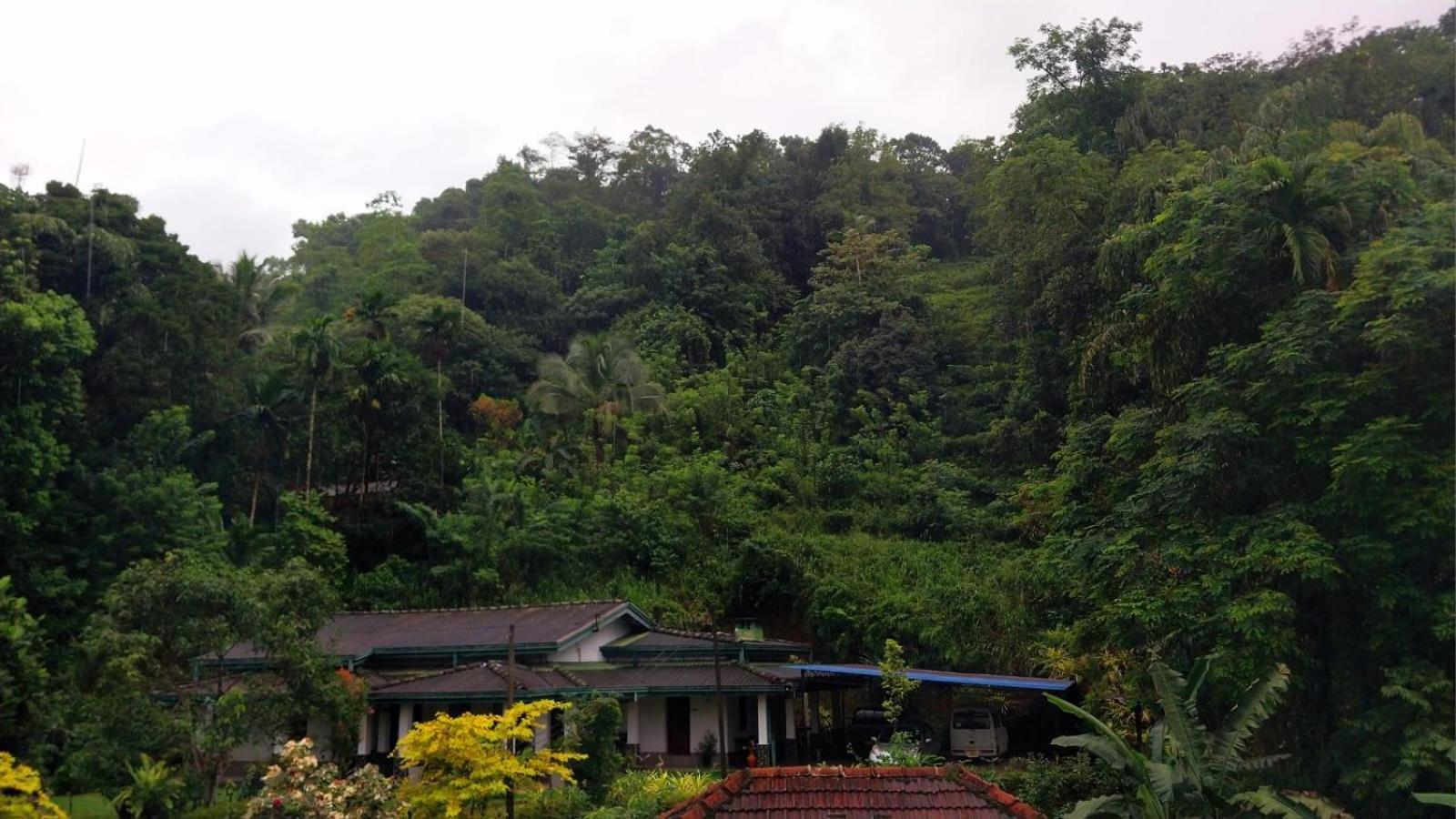 Salmanel Resort راتنابورا المظهر الخارجي الصورة